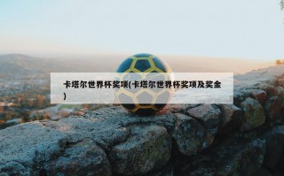 卡塔尔世界杯奖项(卡塔尔世界杯奖项及奖金)