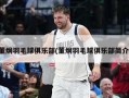 董炯羽毛球俱乐部(董炯羽毛球俱乐部简介)