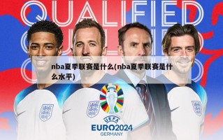 nba夏季联赛是什么(nba夏季联赛是什么水平)