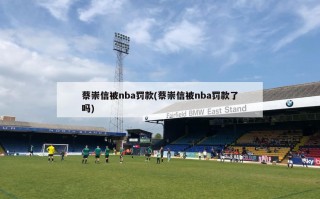 蔡崇信被nba罚款(蔡崇信被nba罚款了吗)