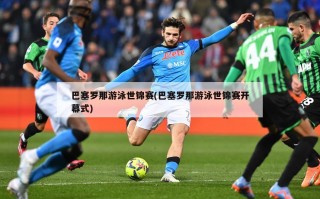 巴塞罗那游泳世锦赛(巴塞罗那游泳世锦赛开幕式)
