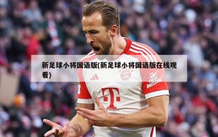 新足球小将国语版(新足球小将国语版在线观看)