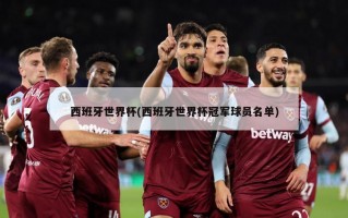 西班牙世界杯(西班牙世界杯冠军球员名单)