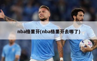 nba格里芬(nba格里芬去哪了)