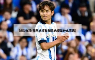 球队选项(球队选项和球员选项是什么意思)