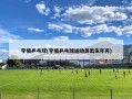 李楠乒乓球(李楠乒乓球运动员出生年月)