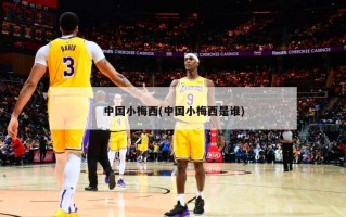 中国小梅西(中国小梅西是谁)