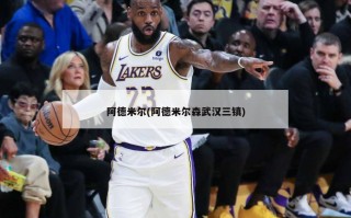 阿德米尔(阿德米尔森武汉三镇)