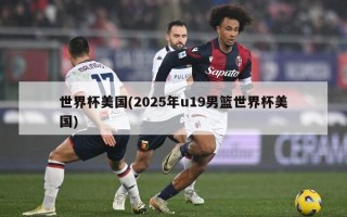 世界杯美国(2025年u19男篮世界杯美国)