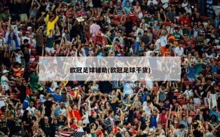 欧冠足球辅助(欧冠足球干货)