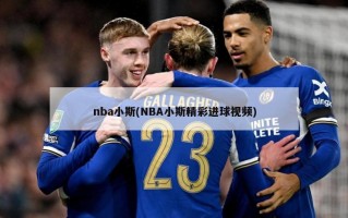 nba小斯(NBA小斯精彩进球视频)