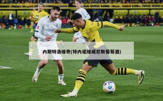 内斯特洛维奇(特内诺维威尼斯葡萄酒)