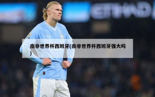 南非世界杯西班牙(南非世界杯西班牙强大吗)