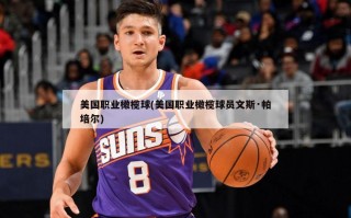 美国职业橄榄球(美国职业橄榄球员文斯·帕培尔)