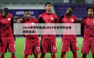 2014世界杯集锦(2014年世界杯全程回放高清)