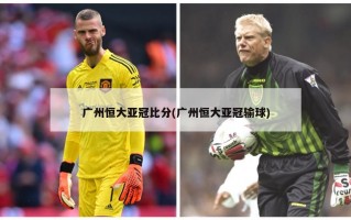 广州恒大亚冠比分(广州恒大亚冠输球)