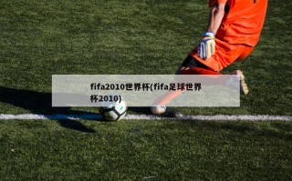 fifa2010世界杯(fifa足球世界杯2010)