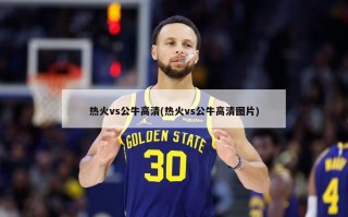 热火vs公牛高清(热火vs公牛高清图片)