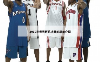 2010年世界杯总决赛的简单介绍
