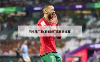 羽毛球厂家(羽毛球厂家直销批发)