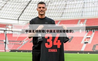 中国足球反赌(中国足球反赌卷宗)