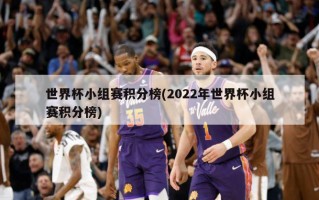 世界杯小组赛积分榜(2022年世界杯小组赛积分榜)