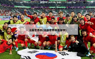 法国世界杯(法国世界杯吉祥物)