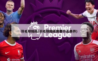 羽毛球陪练(羽毛球陪练需要什么条件)