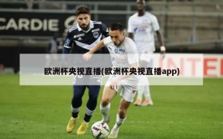 欧洲杯央视直播(欧洲杯央视直播app)
