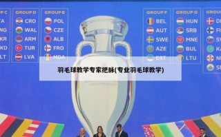 羽毛球教学专家把脉(专业羽毛球教学)