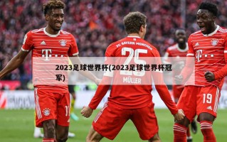 2023足球世界杯(2023足球世界杯冠军)